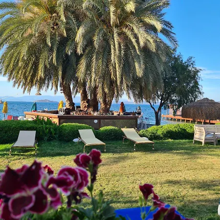 Hotel Toka Hotel&beach Club Bodrum