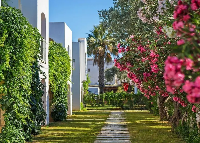 Toka & Club 3* بودروم