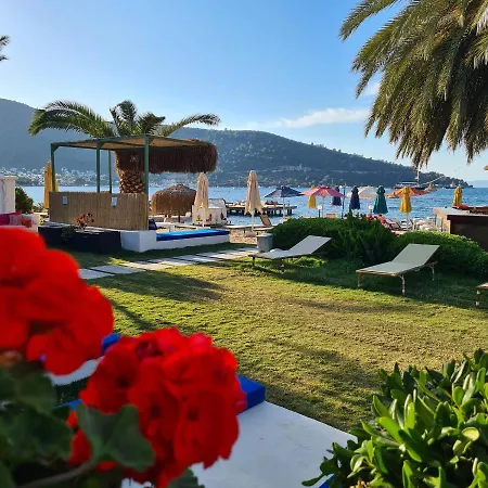 Hotel Toka & Club 3*