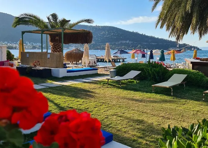 Hotel Toka & Club 3*
