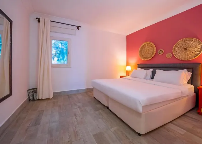 Toka & Club 호텔 Bodrum