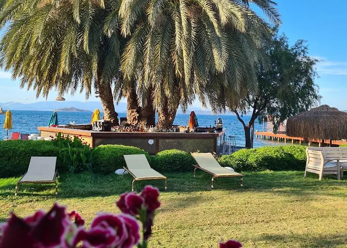 호텔 Toka & Club Bodrum